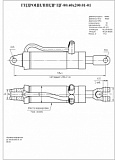 Гидроцилиндр ЦГ-80.40х200.01-01